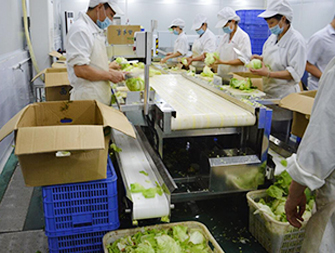 净菜加工车间
