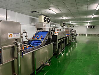 水果清洗车间